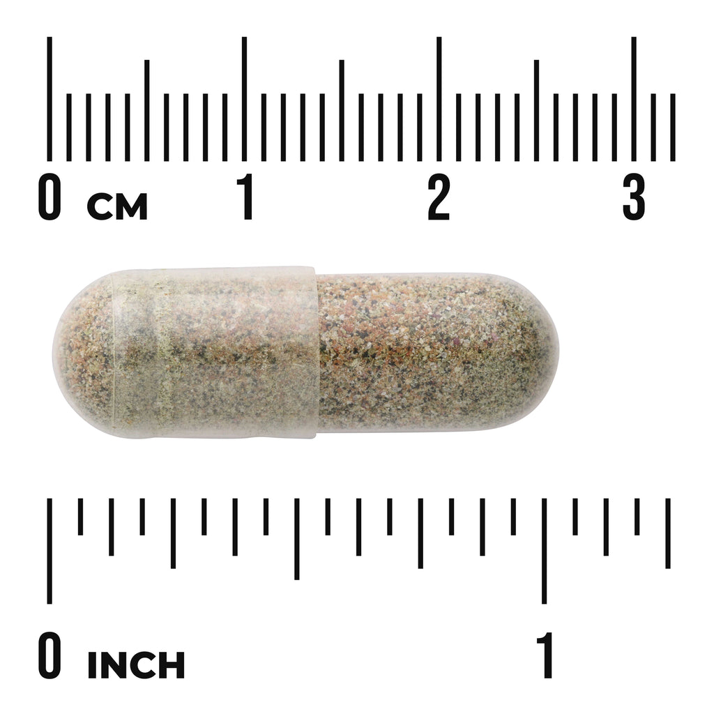 SWR059 | Clear capsule with multicolor powder next to cm and inch rulers for size reference - Thumbnail