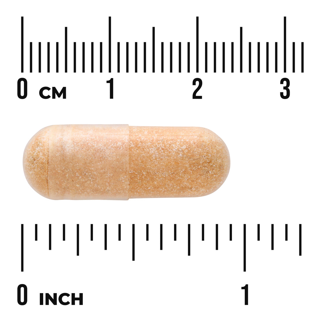 Goji Berry Extract Wolfberry - Standardized - Thumbnail