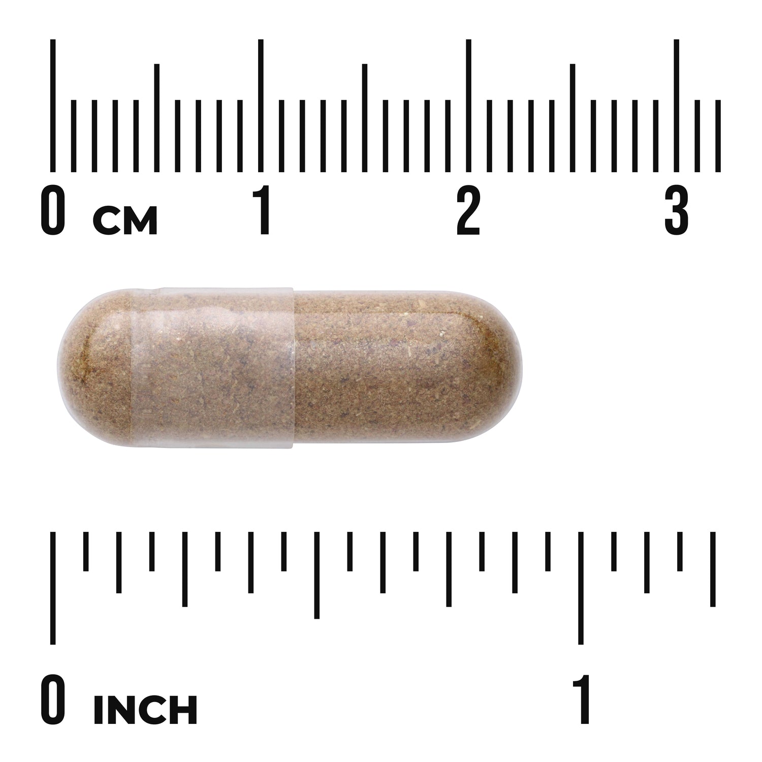 SW1753 | Clear capsule filled with brown powder centered between rulers labeled 0 CM and 0 INCH