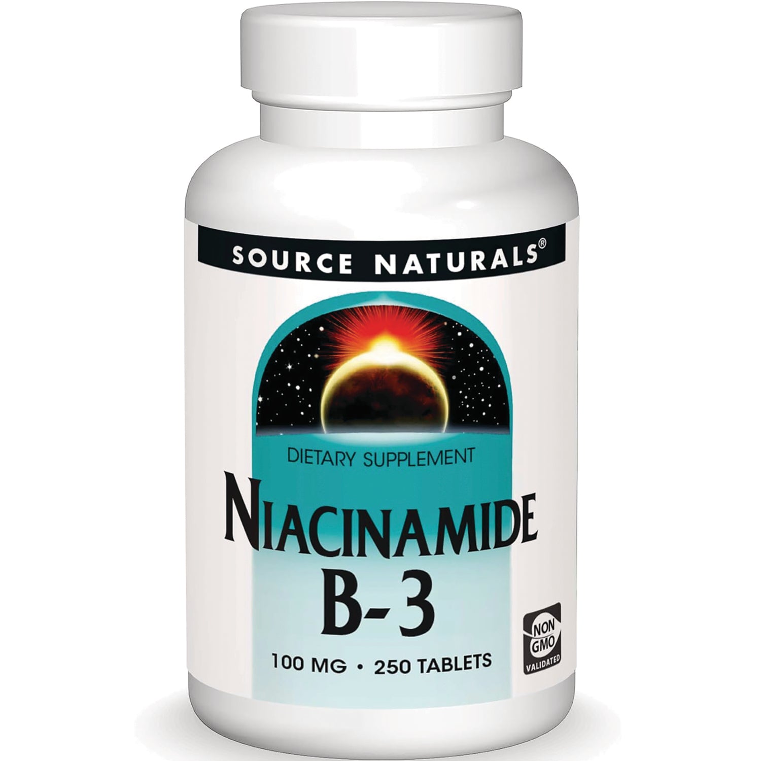 SN598 | Source Naturals Niacinamide B-3 dietary supplement, 100 mg, 250 tablets