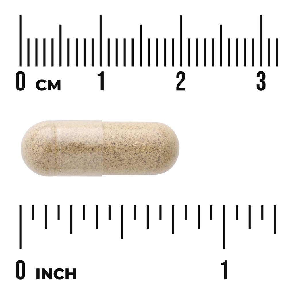 SWU282 | Beige capsule shown with centimeter and inch rulers for scale - Thumbnail