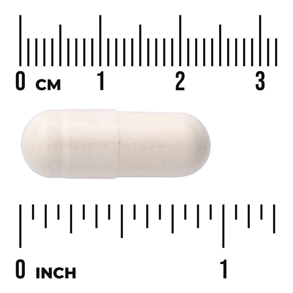 SWG24 | White capsule displayed on centimeter and inch rulers to show size - Thumbnail