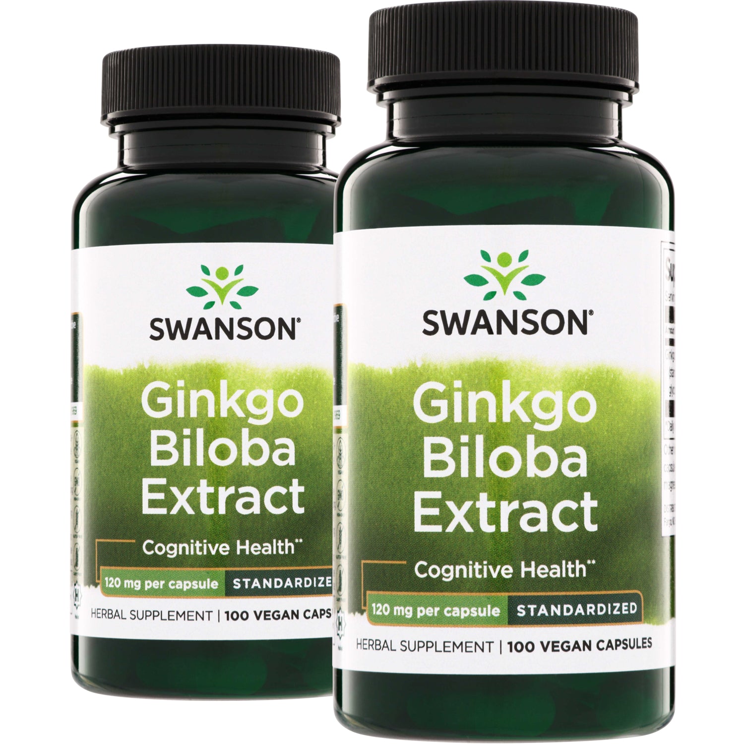 Swanson Ginkgo Biloba Extract 120 mg, two-bottle bundle