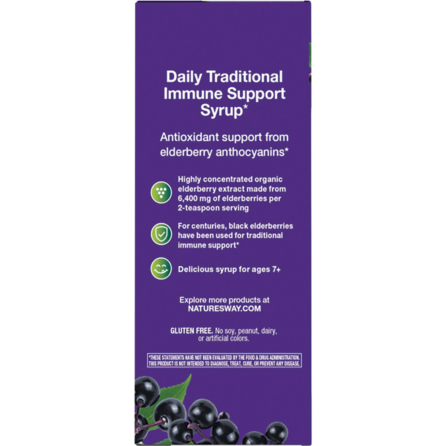 NW808 | Back panel of purple elderberry syrup box reading Daily Traditional Immune Support Syrup with ingredient highlights and berries image
