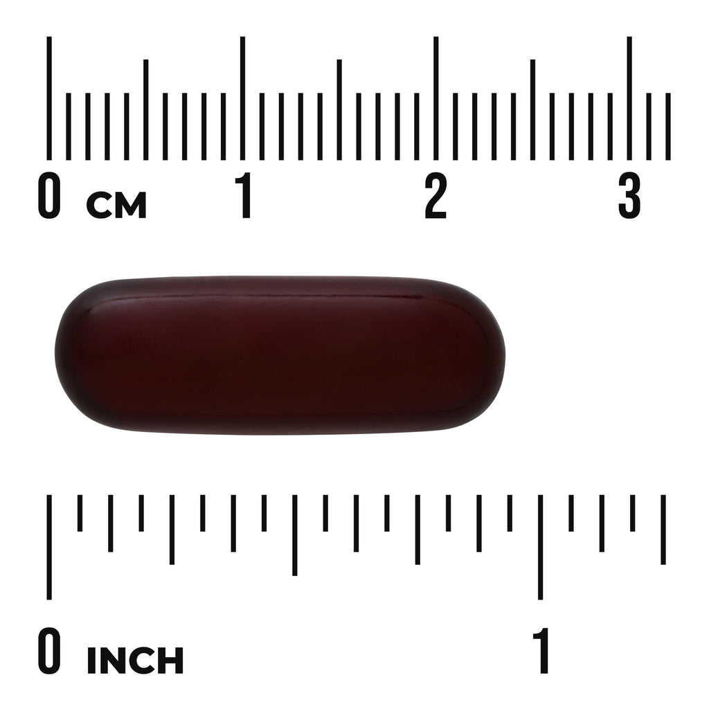 SWU876 | Dark brown oblong softgel centered between metric (cm) and inch rulers showing size - Thumbnail