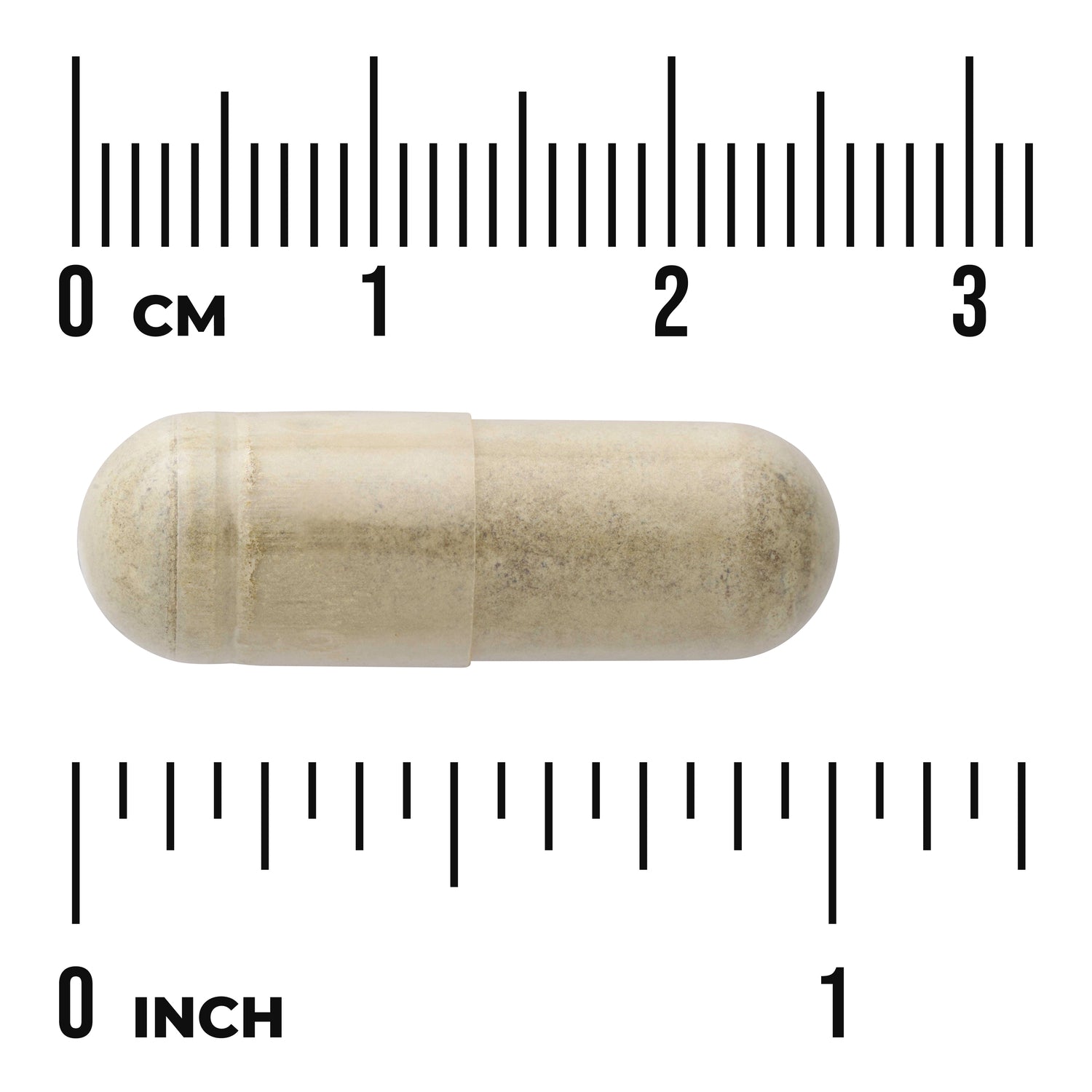 SWH139 | Beige capsule shown next to cm and inch rulers