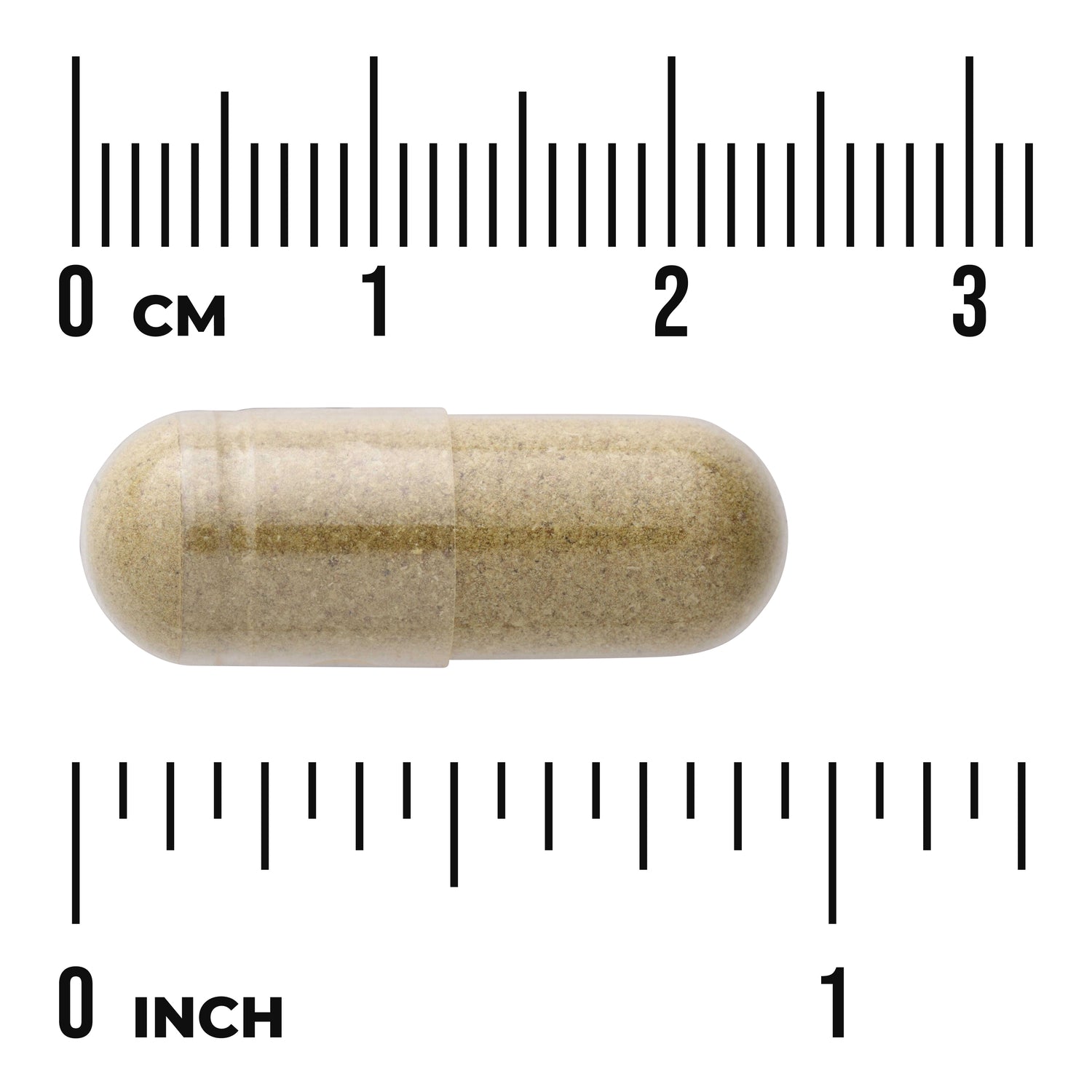 SW1340 | Clear capsule filled with beige powder placed against centimeter and inch rulers