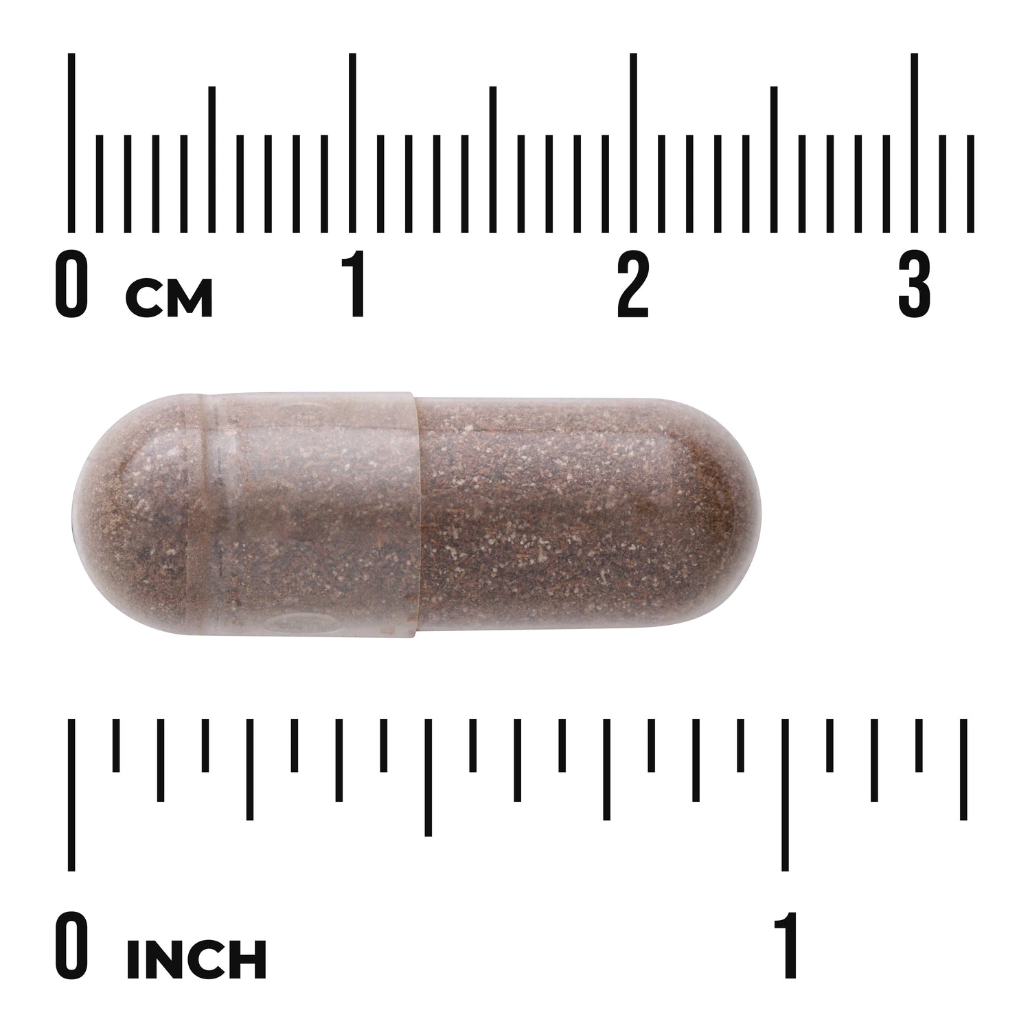 SW424 | Brown capsule with size shown against cm and inch rulers