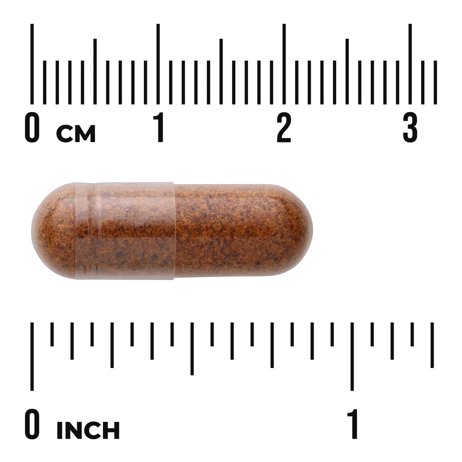SW1739 | Brown capsule shown with size scale, 03 cm and 01 inch markers