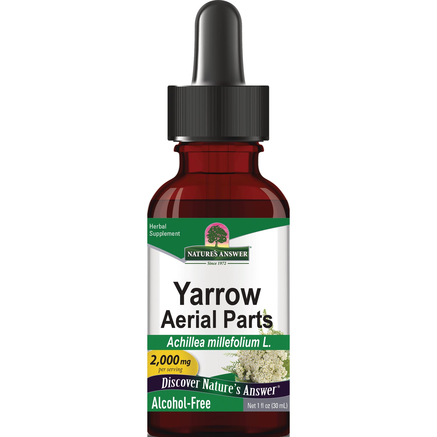 NAT325 | Yarrow Aerial Parts herbal supplement dropper bottle, alcohol-free, 1 fl oz