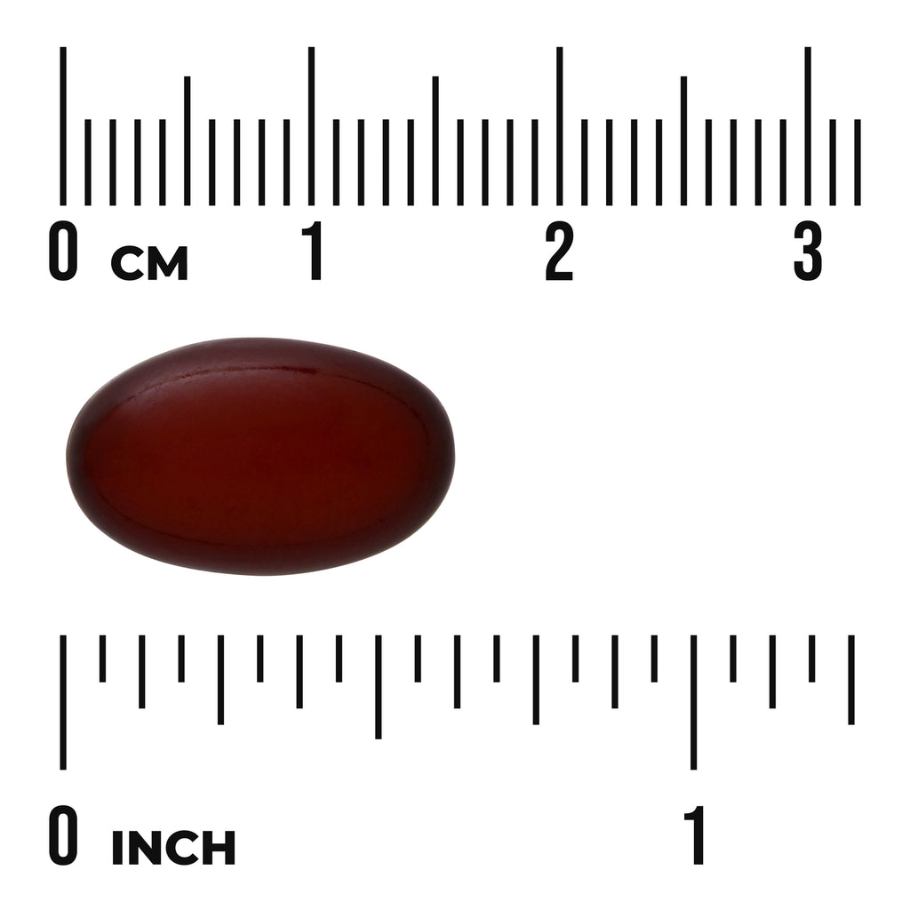 SWU150 | Brown oval softgel capsule on cm and inch rulers showing size about 2 cm - Thumbnail
