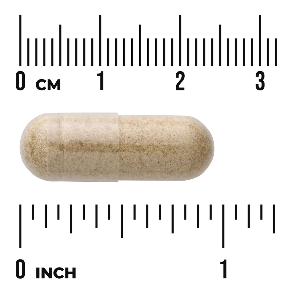 SW543 | Clear capsule with beige powder shown with metric and inch rulers for size - Thumbnail
