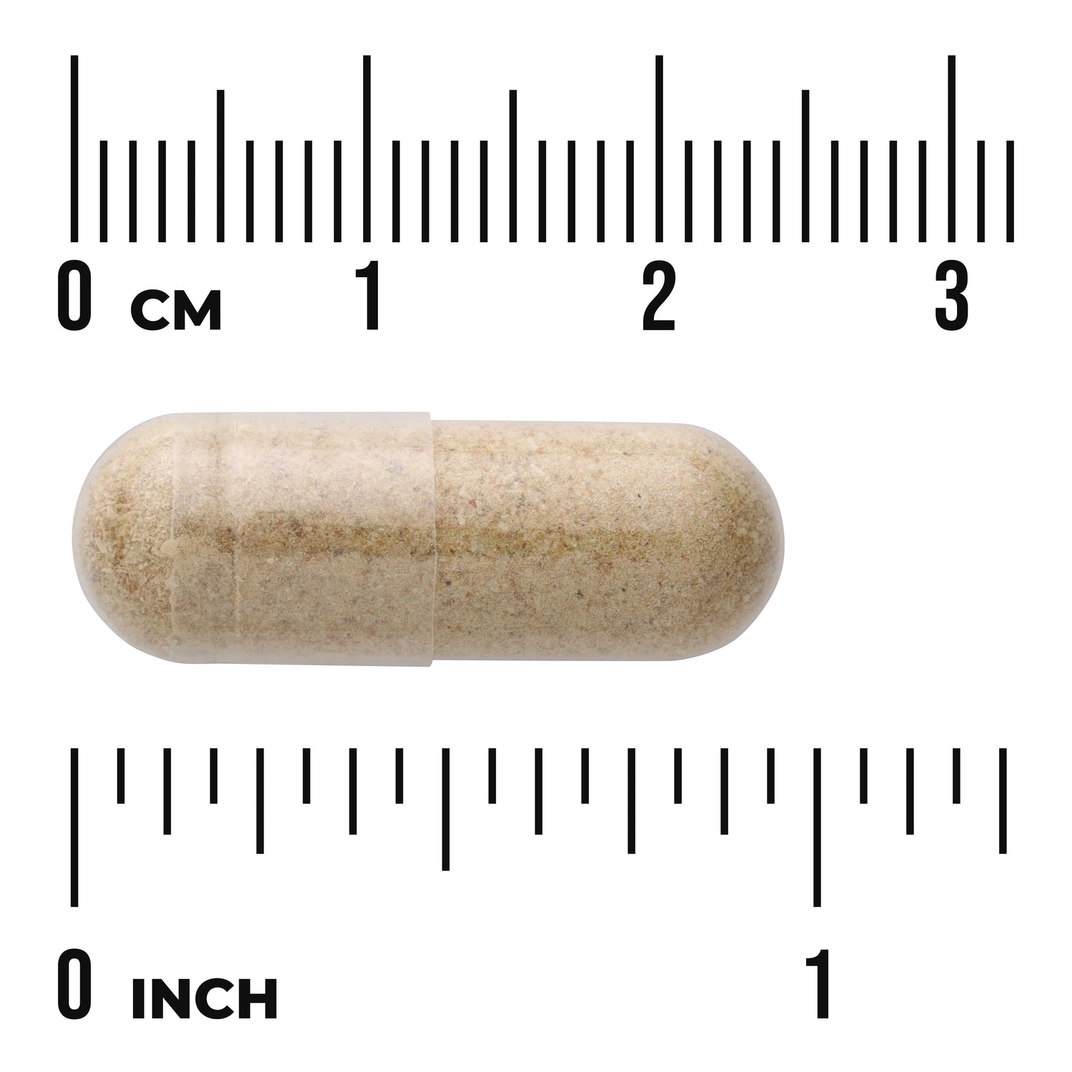 SW543 | Clear capsule with beige powder shown with metric and inch rulers for size