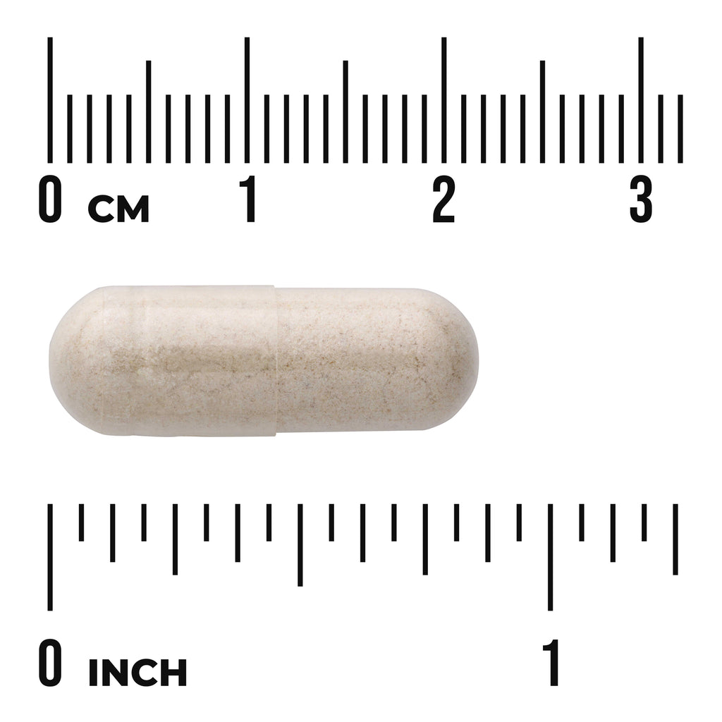 SW083 | beige capsule with metric and inch rulers showing ~2.5 cm length - Thumbnail