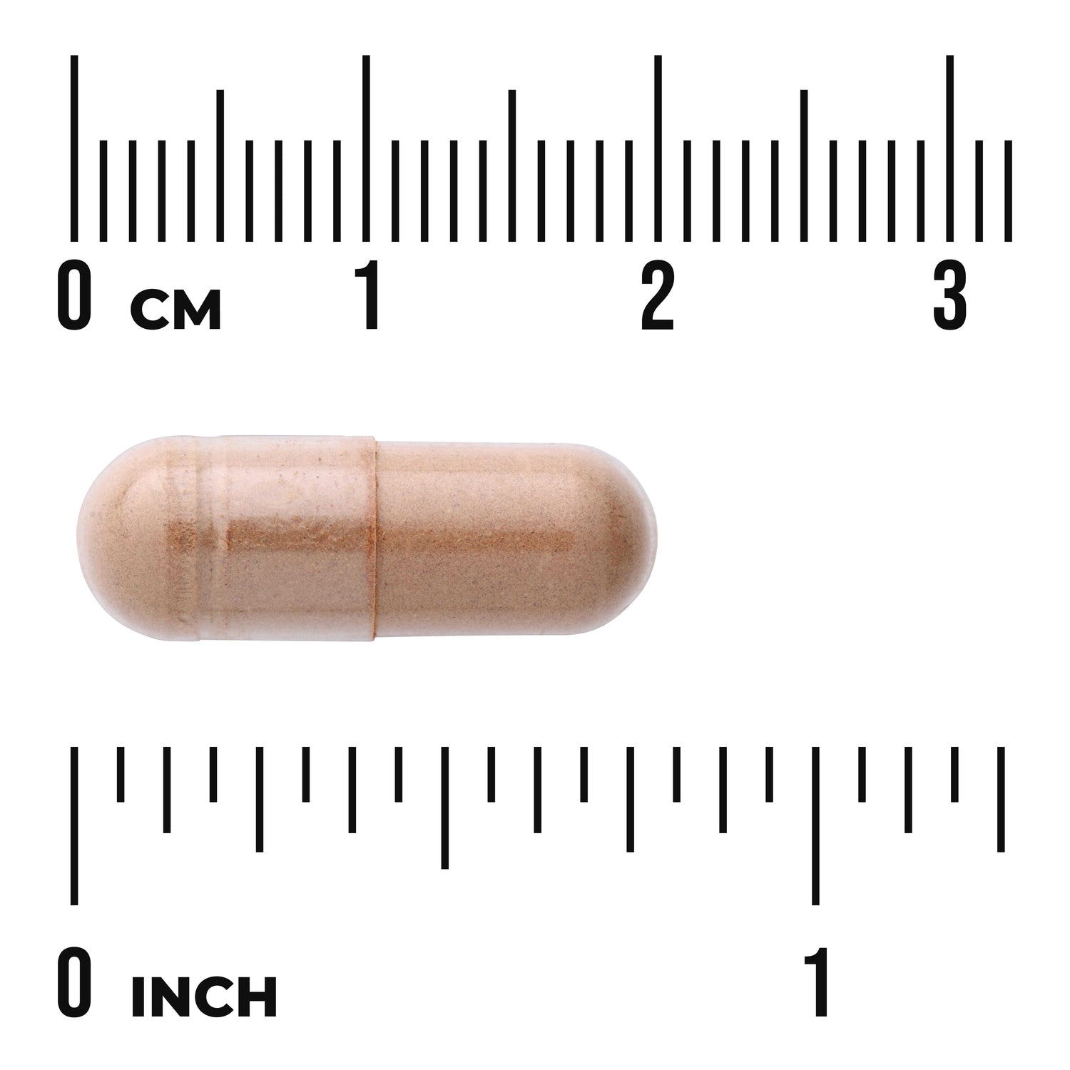 SW1007 | Brown supplement capsule on white background with centimeter and inch rulers showing size