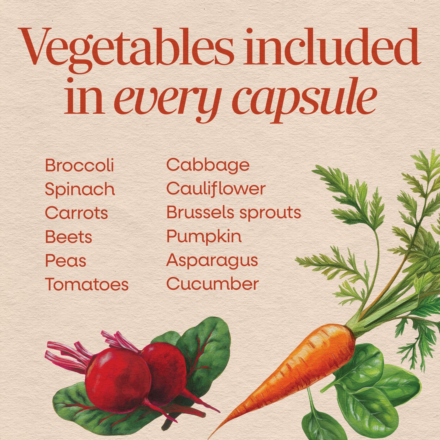 NW561 | product infographic of supplement bottle side label reading The Power of Vegetables with vegan logo and barcode