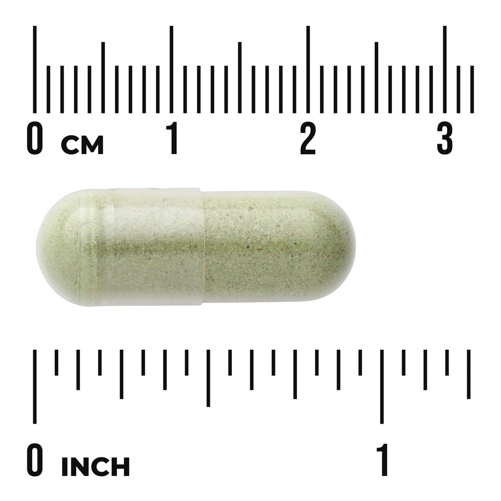 SWU1059 | Green powder-filled capsule with size reference in inches and centimeters - Thumbnail
