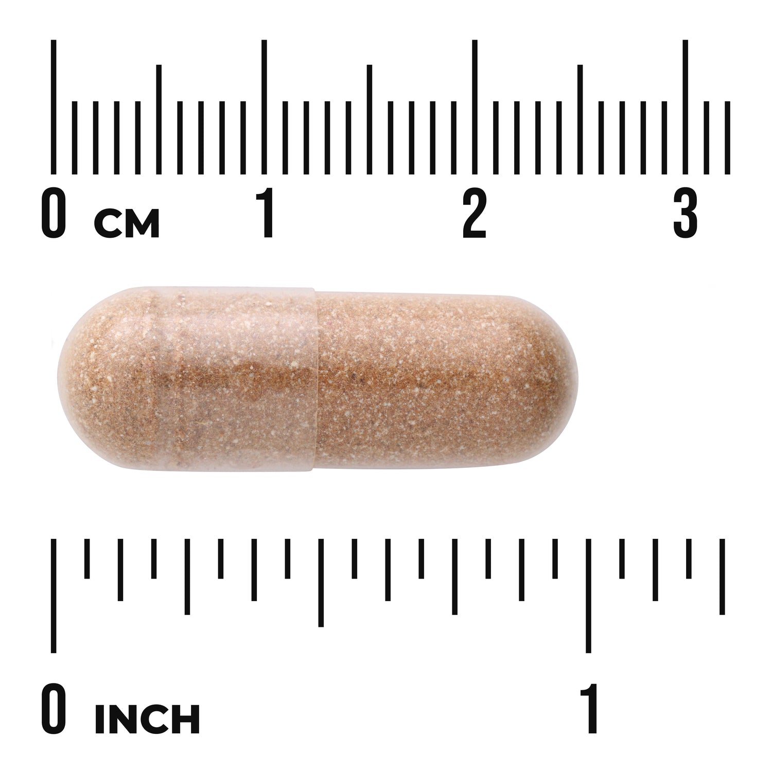 SW1683 | Brown capsule shown with ruler for size reference in cm and inches