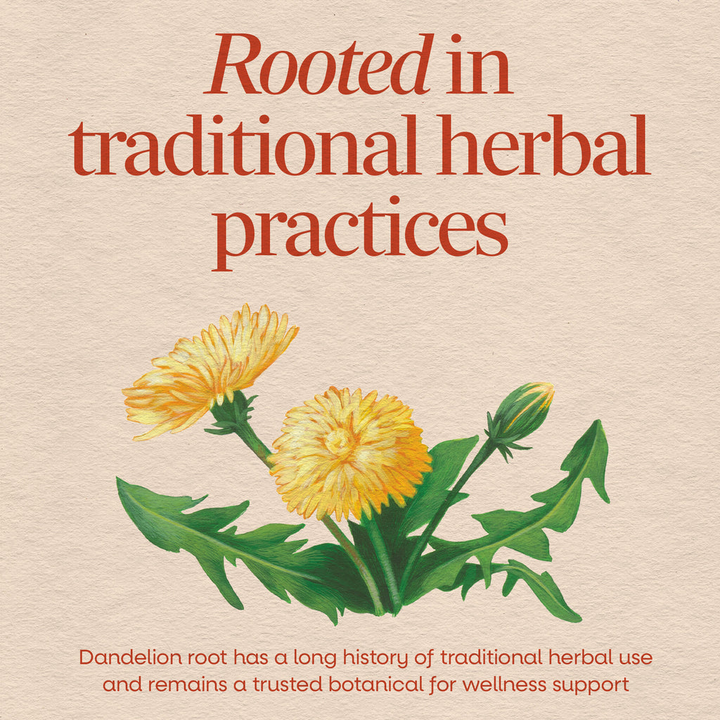 NW127 | Dandelion illustration with text about traditional herbal practices and wellness support - Thumbnail