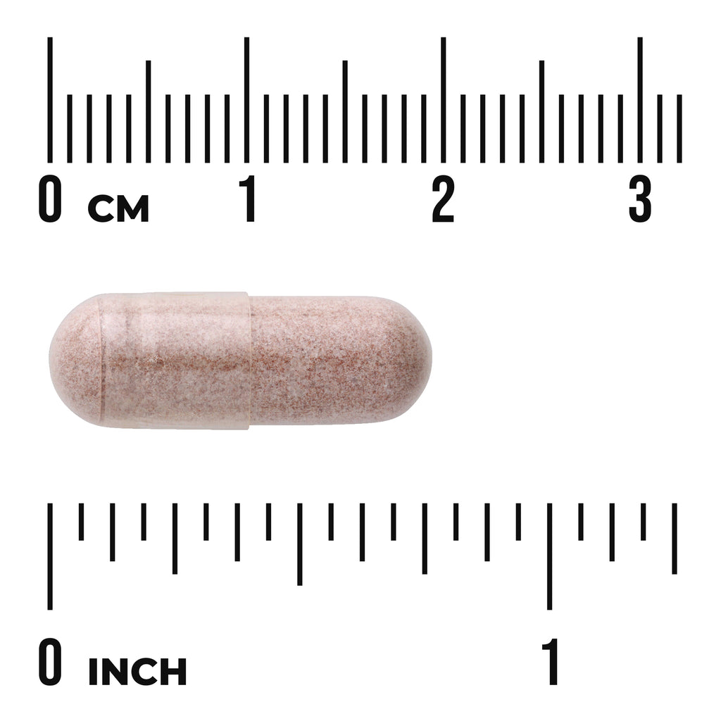 SWH155 | Beige speckled capsule shown next to centimeter and inch rulers to indicate size - Thumbnail