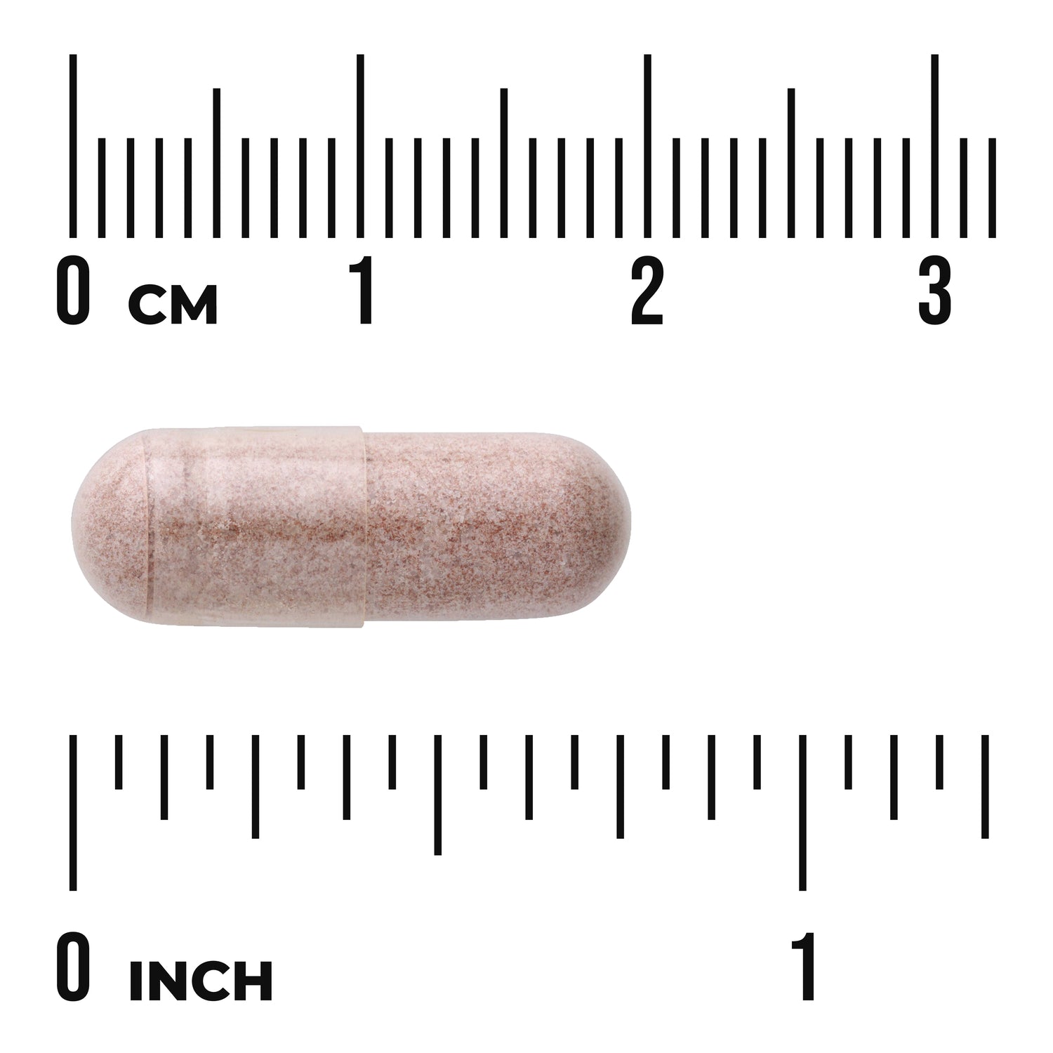 SWH155 | Beige speckled capsule shown next to centimeter and inch rulers to indicate size