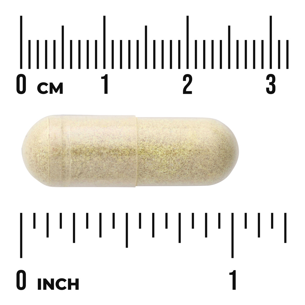 SWU926 | Clear gelatin capsule filled with beige powder between centimeter and inch rulers, about 2.5 cm long - Thumbnail