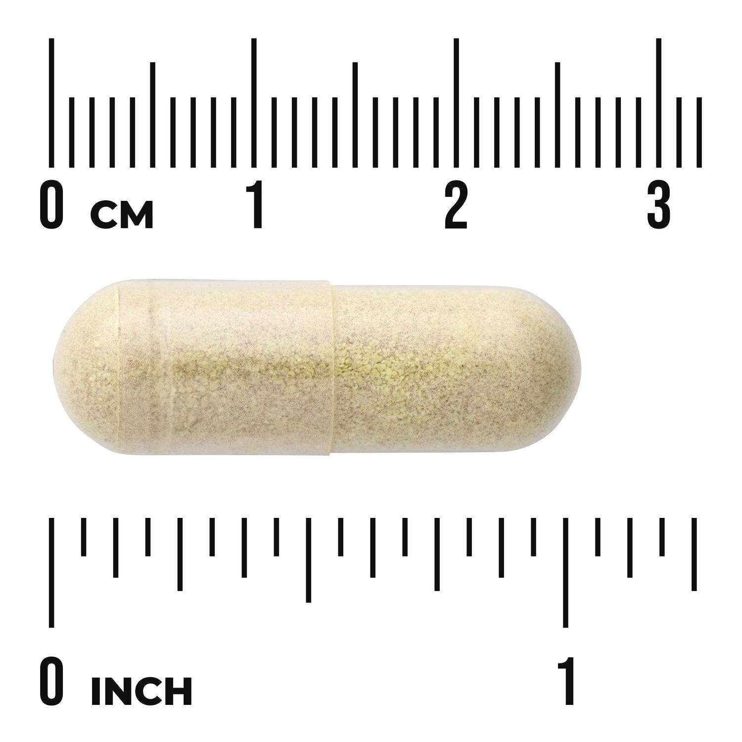 SWU926 | Clear gelatin capsule filled with beige powder between centimeter and inch rulers, about 2.5 cm long