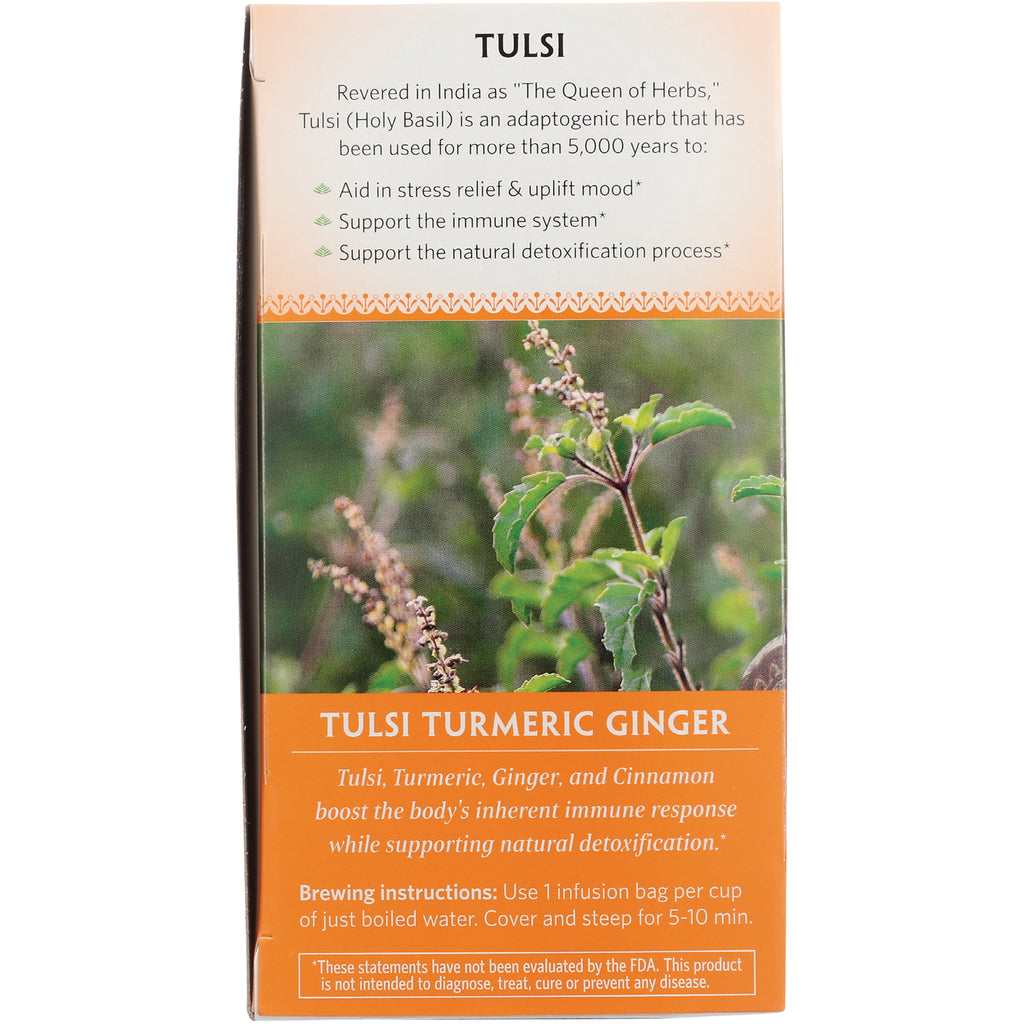 RGN074 | Back of Tulsi Turmeric Ginger tea box showing plant photo, brewing instructions, and product benefits - Thumbnail