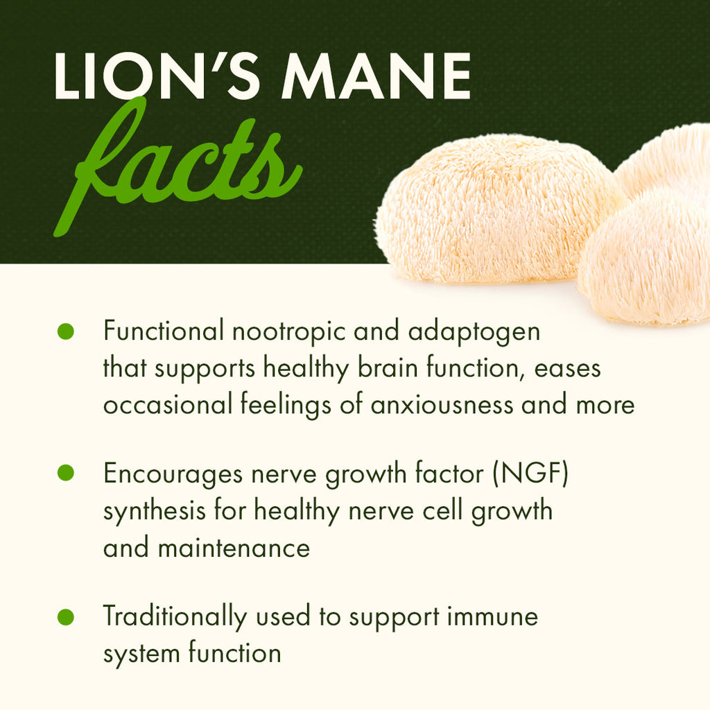 Full Spectrum Lion's Mane Mushroom - Thumbnail