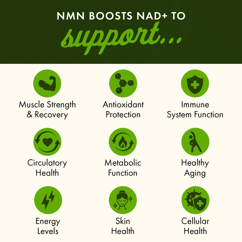 SW1819 | NMN boosts NAD+ to support muscle strength, immune function, energy, skin and cellular health - Thumbnail