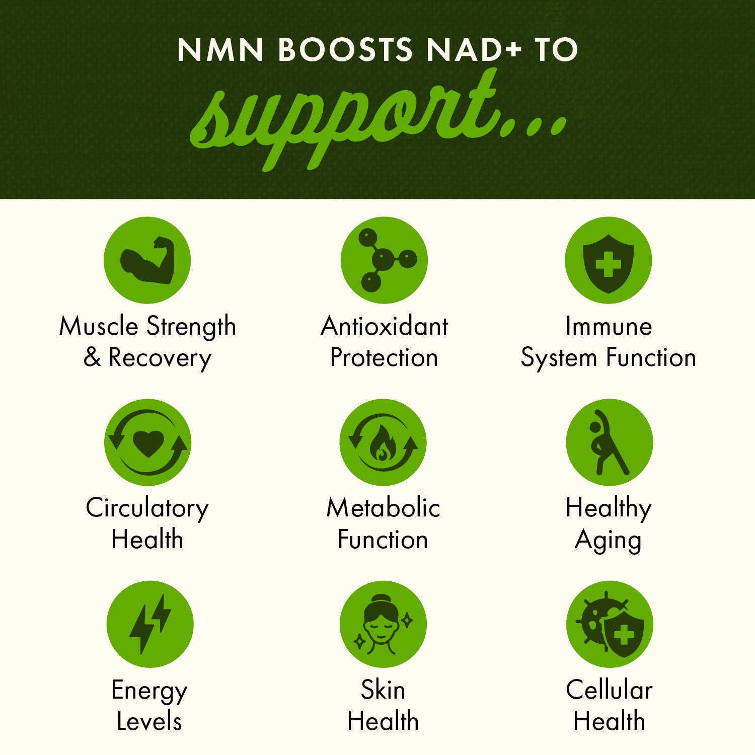 SW1819 | NMN boosts NAD+ to support muscle strength, immune function, energy, skin and cellular health