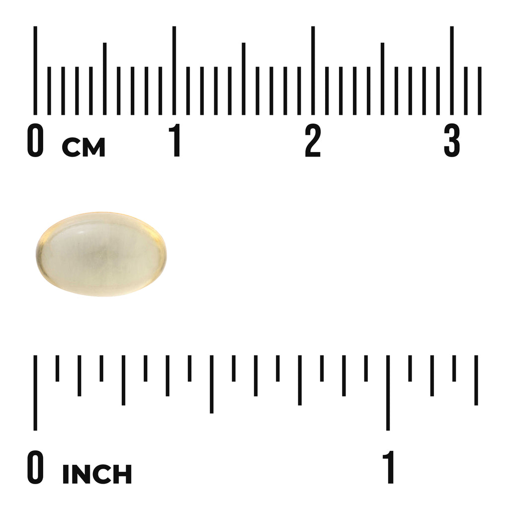 SW941 | Softgel size shown with centimeter and inch rulers - Thumbnail