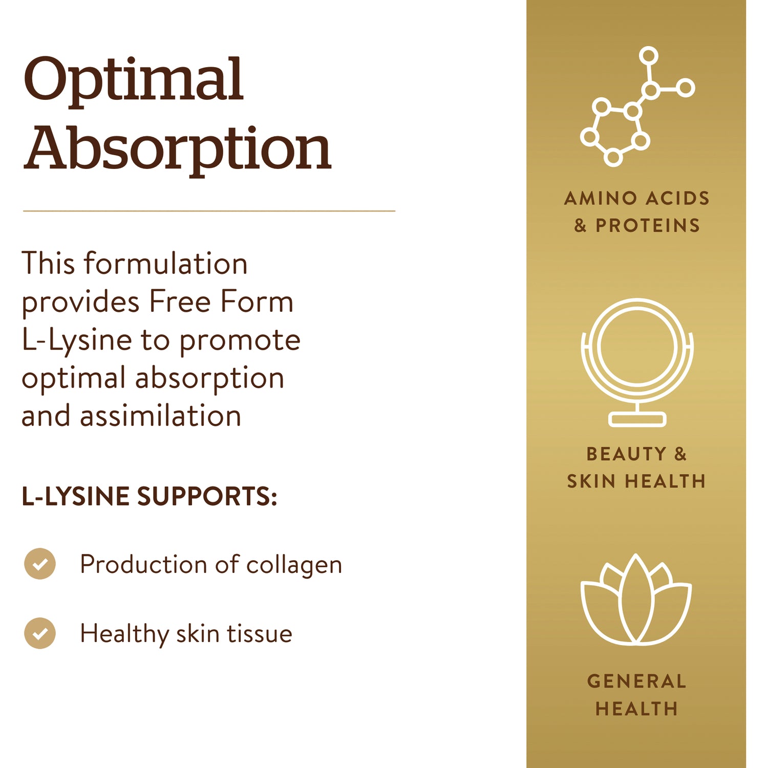 SLG232 | Product infographic reading Optimal Absorption; L-Lysine supports production of collagen and healthy skin tissue