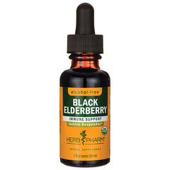 HPH079 | Amber dropper bottle labeled BLACK ELDERBERRY immune support alcohol-free 1 fluid ounce