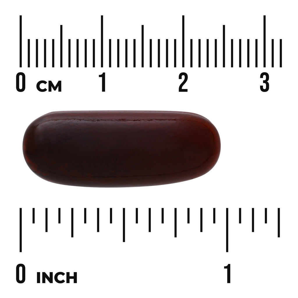 SWU323 | Brown oval softgel shown next to cm and inch rulers for size reference - Thumbnail