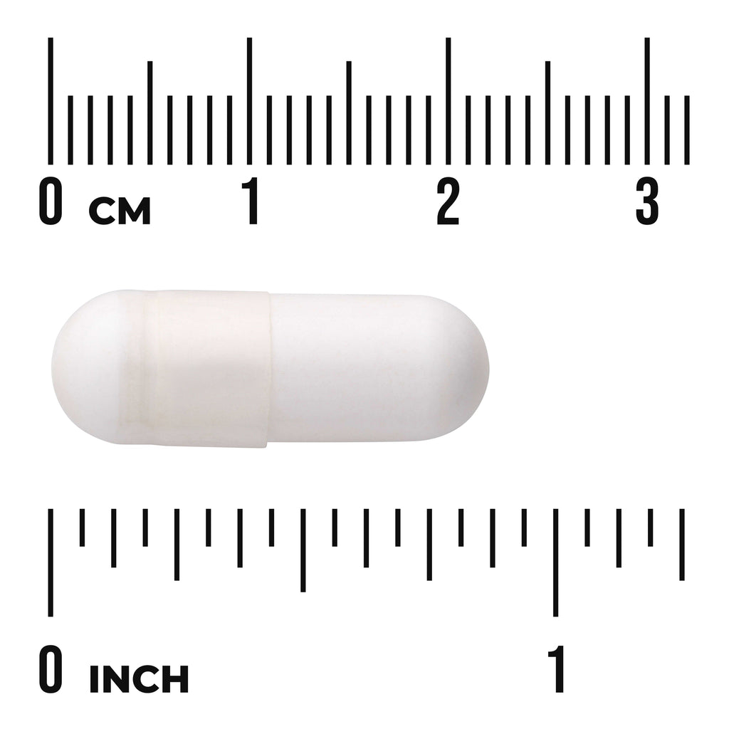 SW1608 | White capsule shown next to cm and inch rulers for size reference - Thumbnail