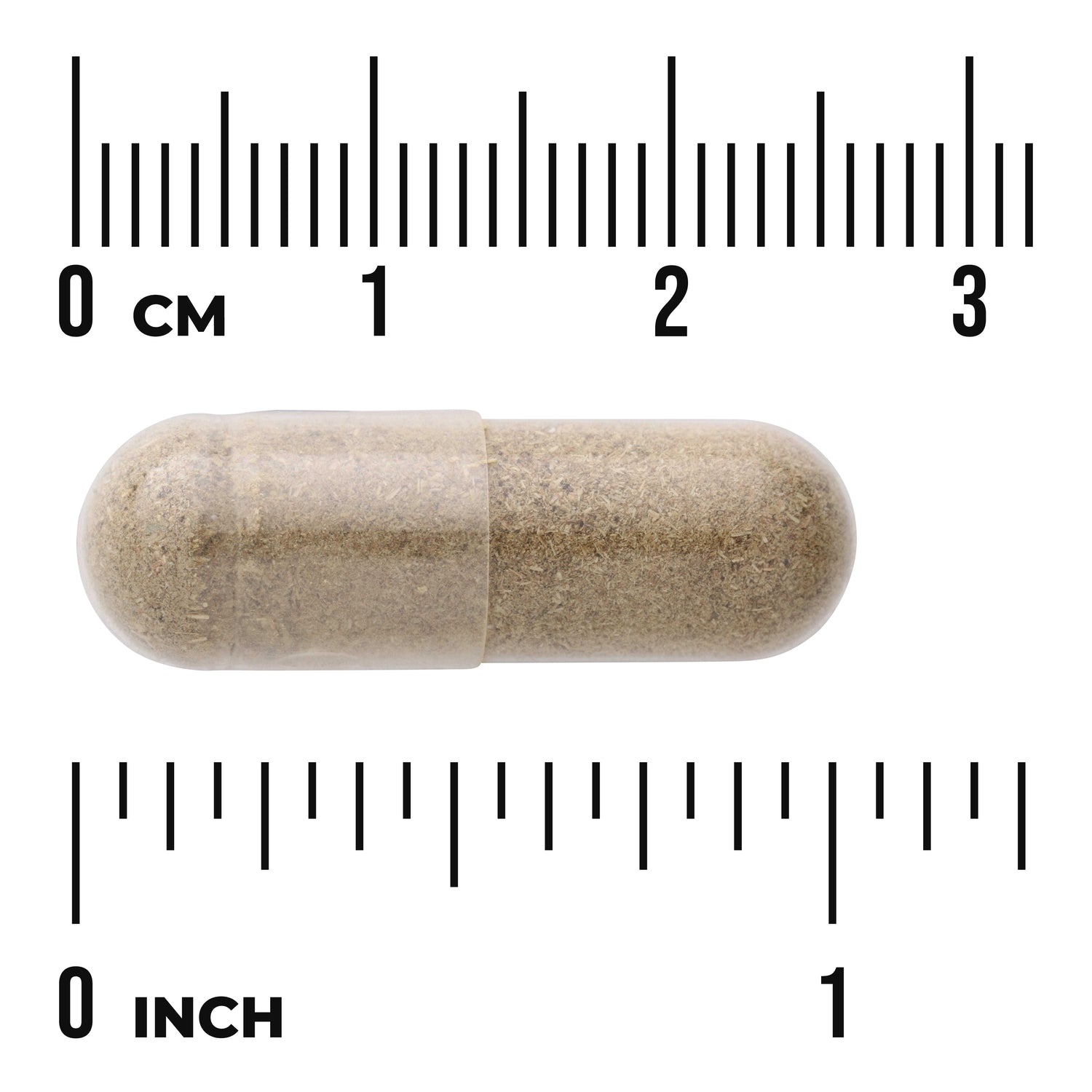 SW1229 | Clear capsule filled with brown powder shown next to rulers in cm and inches