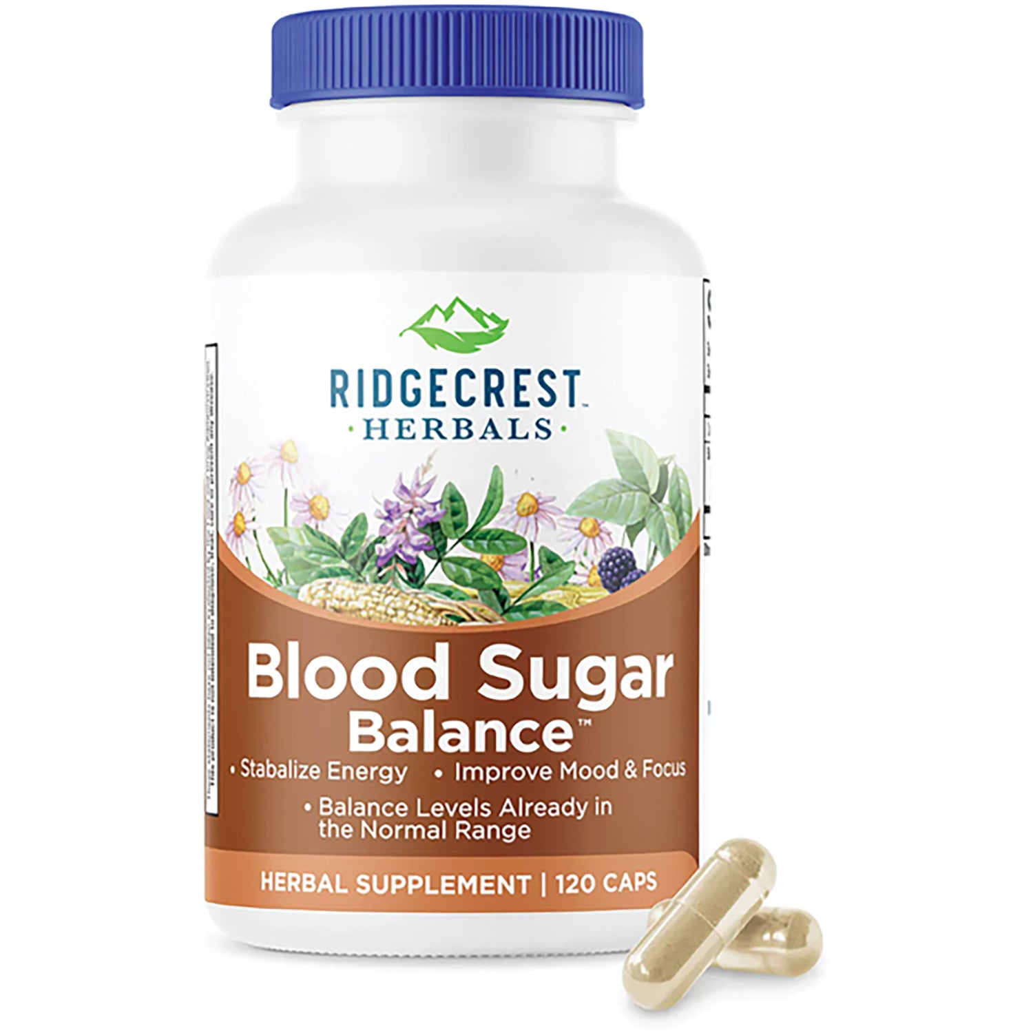 PH045 | Ridgecrest Herbals Blood Sugar Balance white bottle with blue cap, front label reading 120 Vegan Capsules and New Look