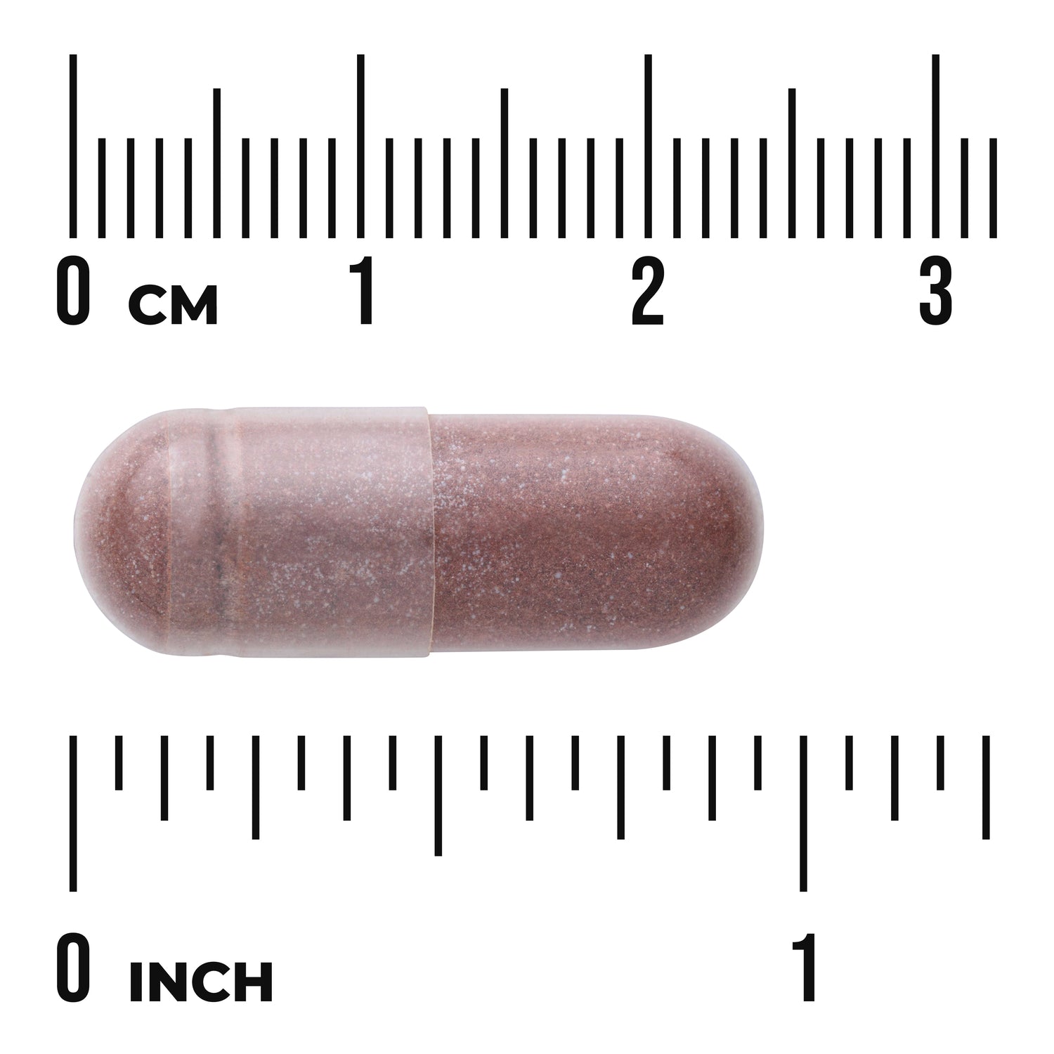SWH117 | Brown capsule on white background with centimeter and inch rulers showing size