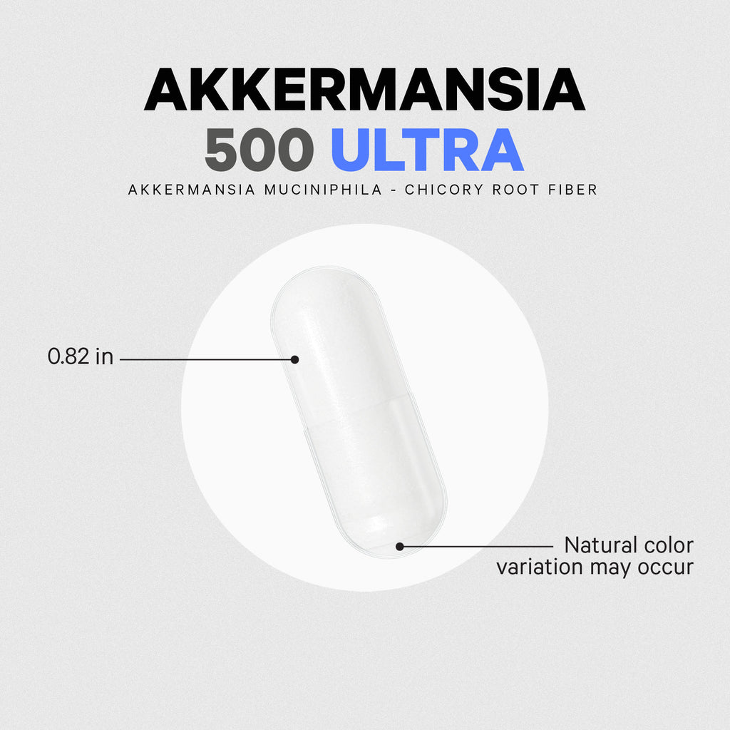 CDG005 | Transparent capsule labeled Akkermansia 500 Ultra, 0.82 in - Thumbnail