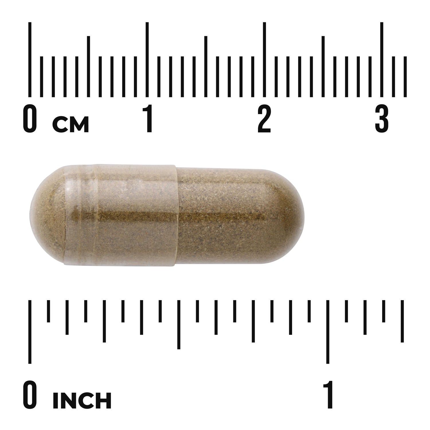 SW986 | Brown capsule shown next to cm and inch ruler for size reference