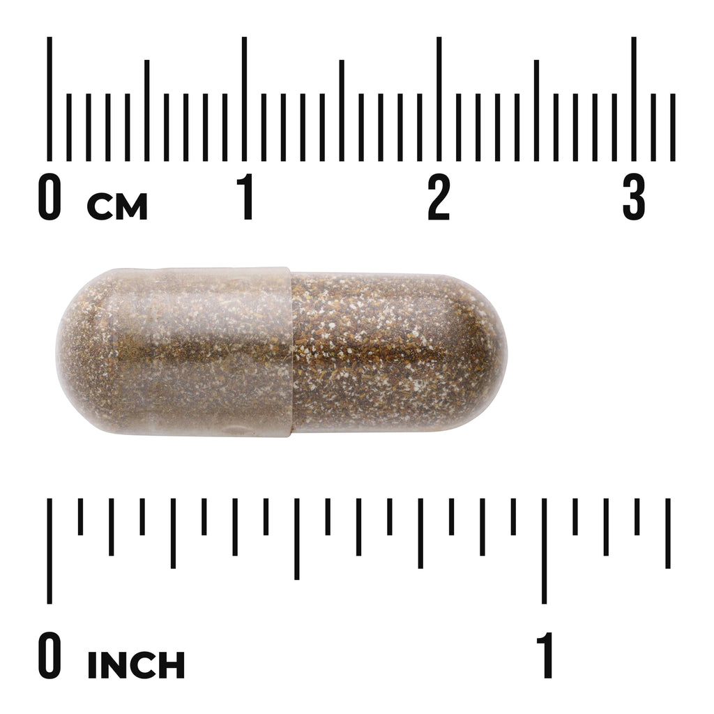 SWH137 | Clear capsule filled with brown speckled powder placed on rulers showing centimeters and inches - Thumbnail