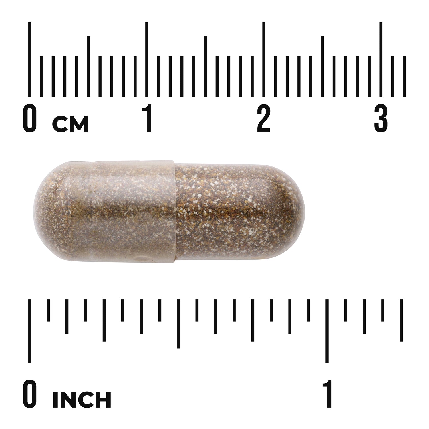 SWH137 | Clear capsule filled with brown speckled powder placed on rulers showing centimeters and inches