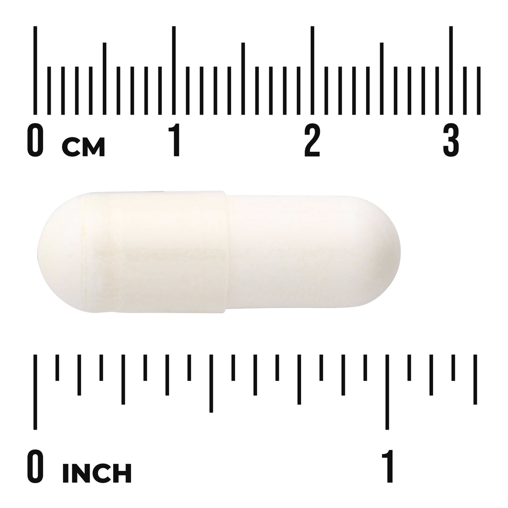 SWU823 | White capsule next to cm and inch rulers showing size - Thumbnail