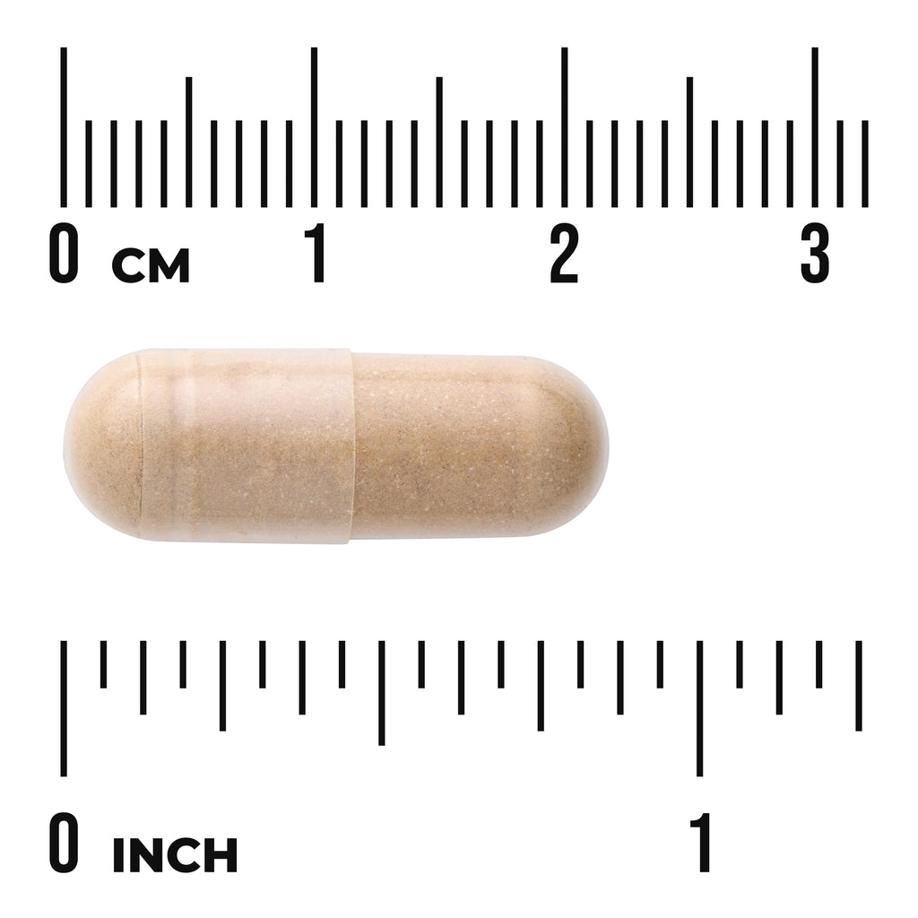 SW1225 | Capsule beside cm and inch rulers for size reference - Thumbnail