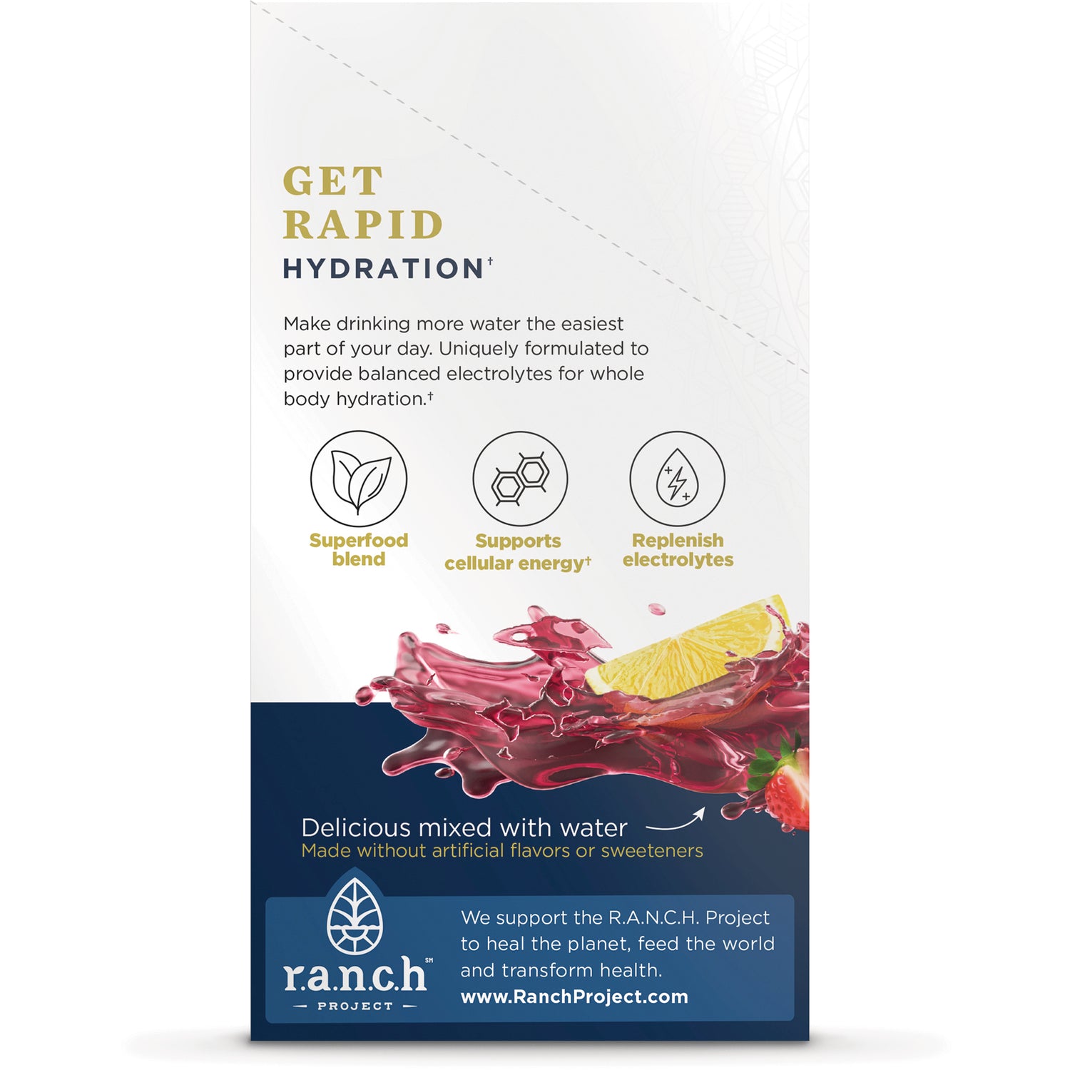 ATN144 | Back panel with GET RAPID HYDRATION heading, benefit icons and berry-lemon splash