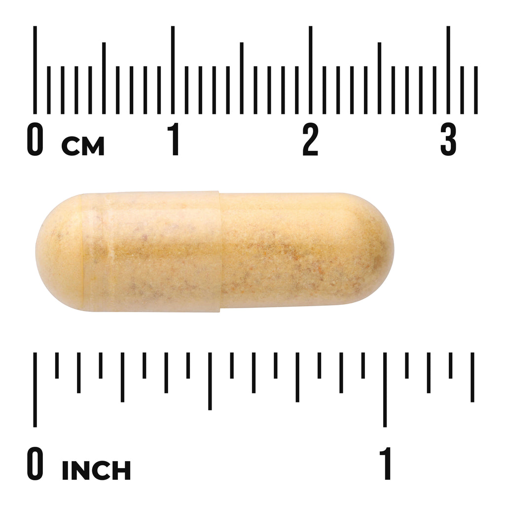 SW1073 | Tan capsule with size guide showing 0 CM and 0 INCH rulers - Thumbnail