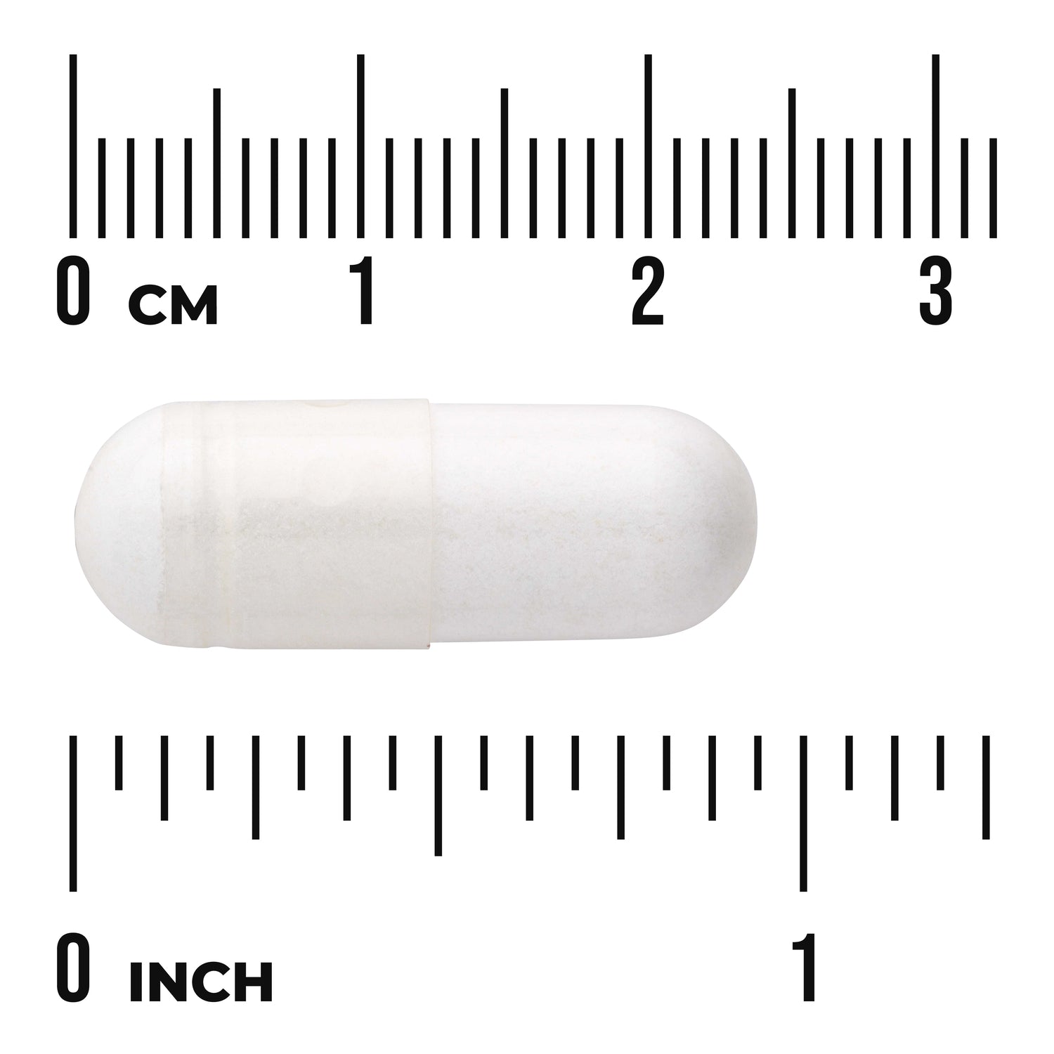 SW1420 | White capsule shown beside centimeter and inch rulers for size reference