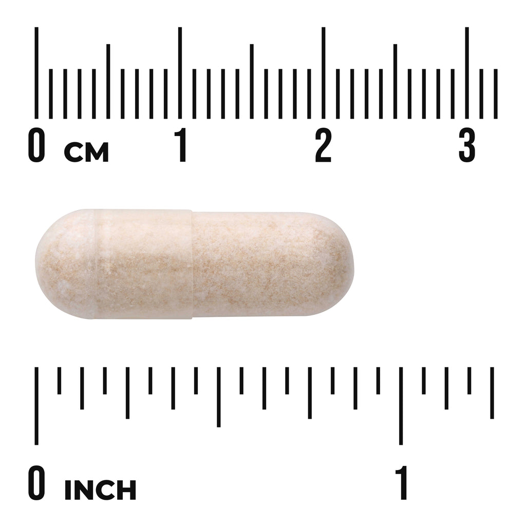 SW305 | Beige capsule with powdered fill beside centimeter and inch rulers showing size - Thumbnail