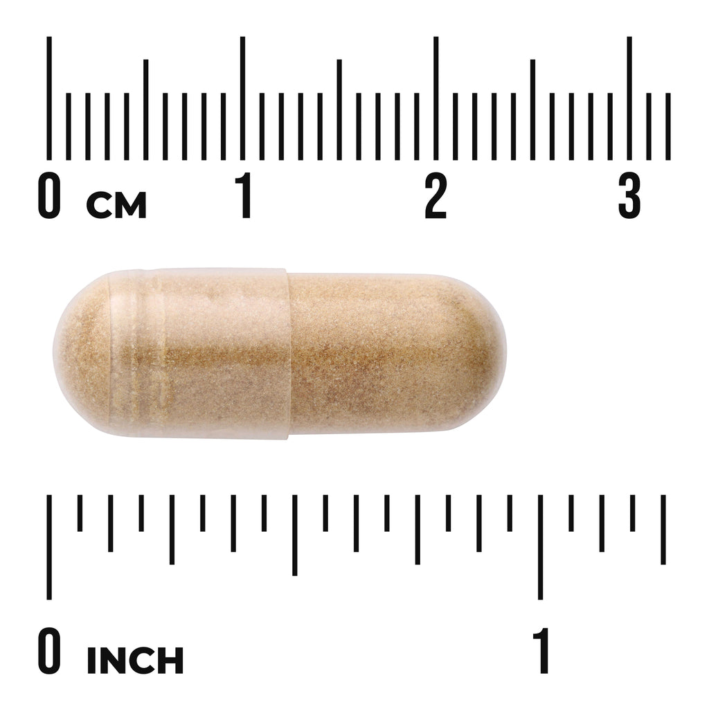 SW1880 | Beige capsule shown next to cm and inch rulers - Thumbnail